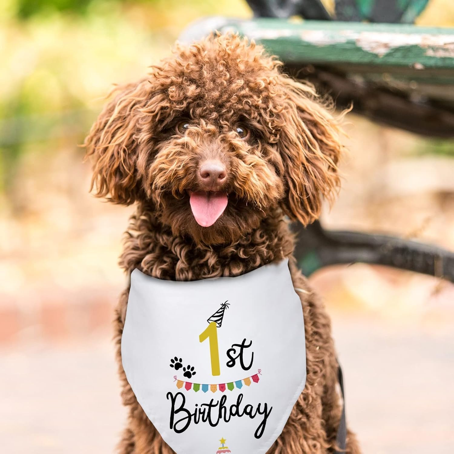 Dog Birthday Bandana Dog Birthday Party Supplies Pet Dog Lover Gifts Happy Birthday Triangle Scarf for Pet Puppy 1St Birthday Party Decoration (White, One Size) image number 1