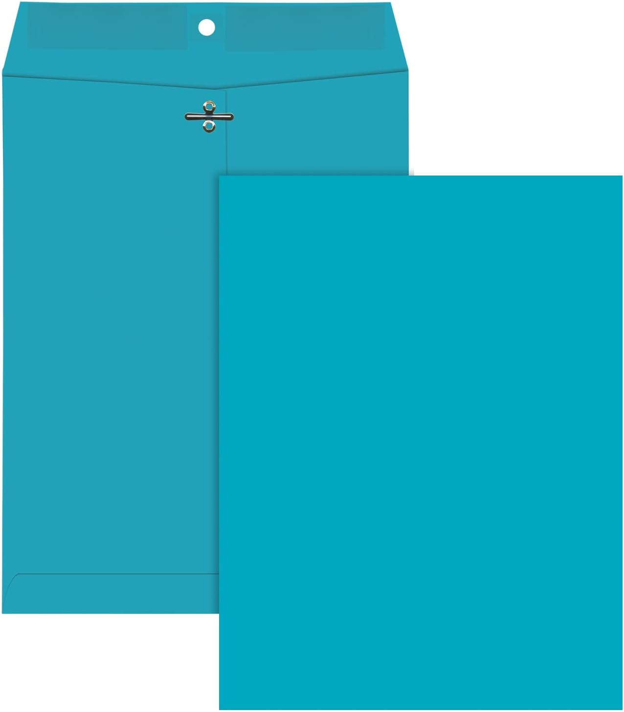 Quality Park Clasp Envelopes, 9 X 12 Inches, Blue, Pack of 10 (38737)