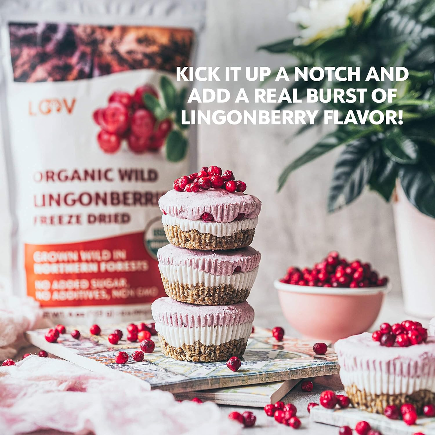 LOOV Freeze Dried Organic Wild Lingonberries, No Sugar Added, 100% Dried Whole Fruit Lingonberries, Wild-Crafted from Northern European Forests, 113 G, 23-Day Supply, Non-Gmo image number 1