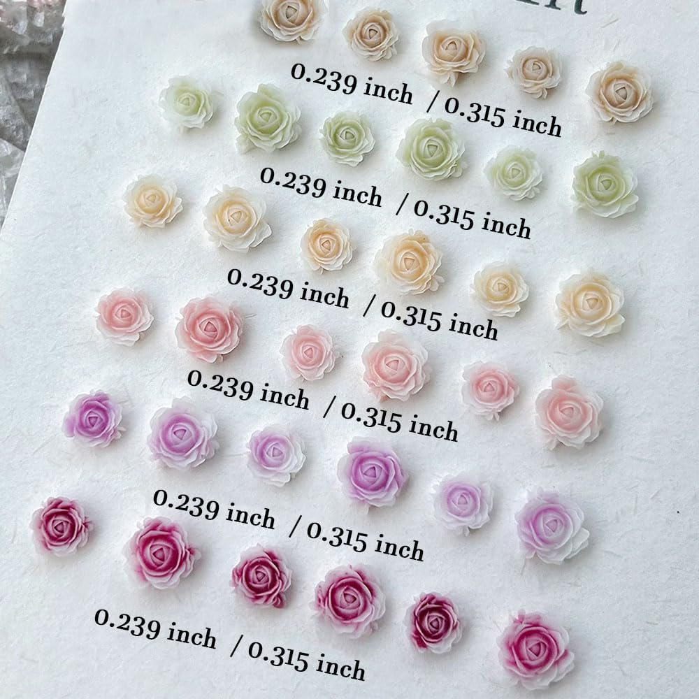 Pack of 100 Cute Flower Nail Charms, Mixed Size Flower Charms Nails Colourful Floral Nail Design Nail Charms 3D Resin Camellia Rose Flower Nail Decoration Nail Art Charms for Women Nail Art image number 5