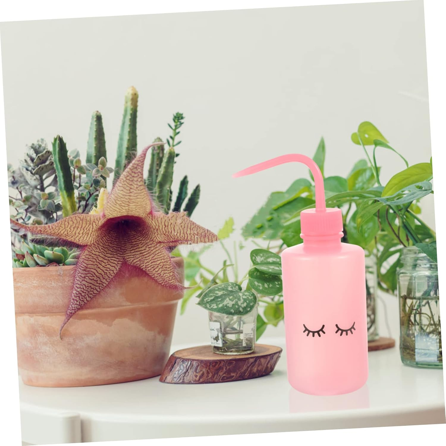 Kisangel 4Pcs Eyelashes Washing Bottles Portable Squeeze Plant Watering Bottles Angled Neck for Care and Precise Watering Design image number 2