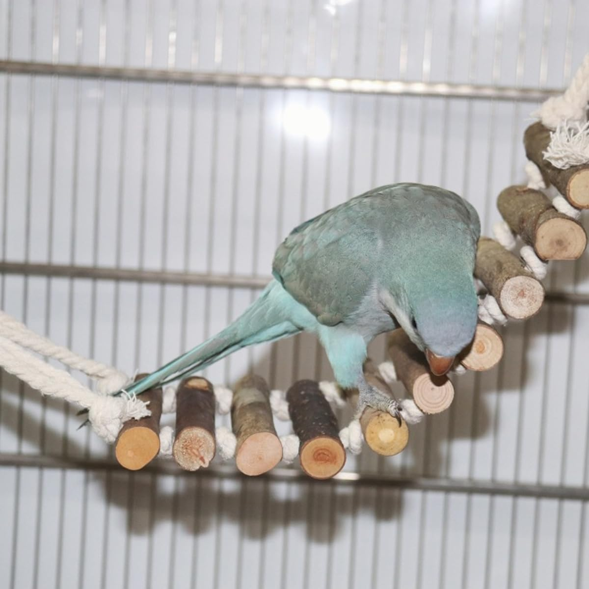 AIMALL 2 Pack Wooden Parrot Ladders &ndash; 9.84&times;3.93In Natural Wood Suspension Bridge Toys for Budgerigars, Cockatiels, Small and Medium Birds Climbing Activity image number 1