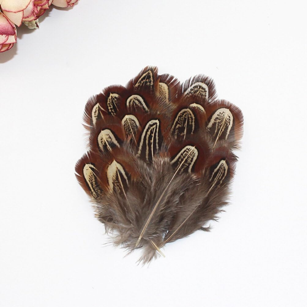 Tofficu Feathers Natural Crafts : Feathers for Crafting - Pheasant Feathers for Dream Catcher DIY Craft Projects image number 4