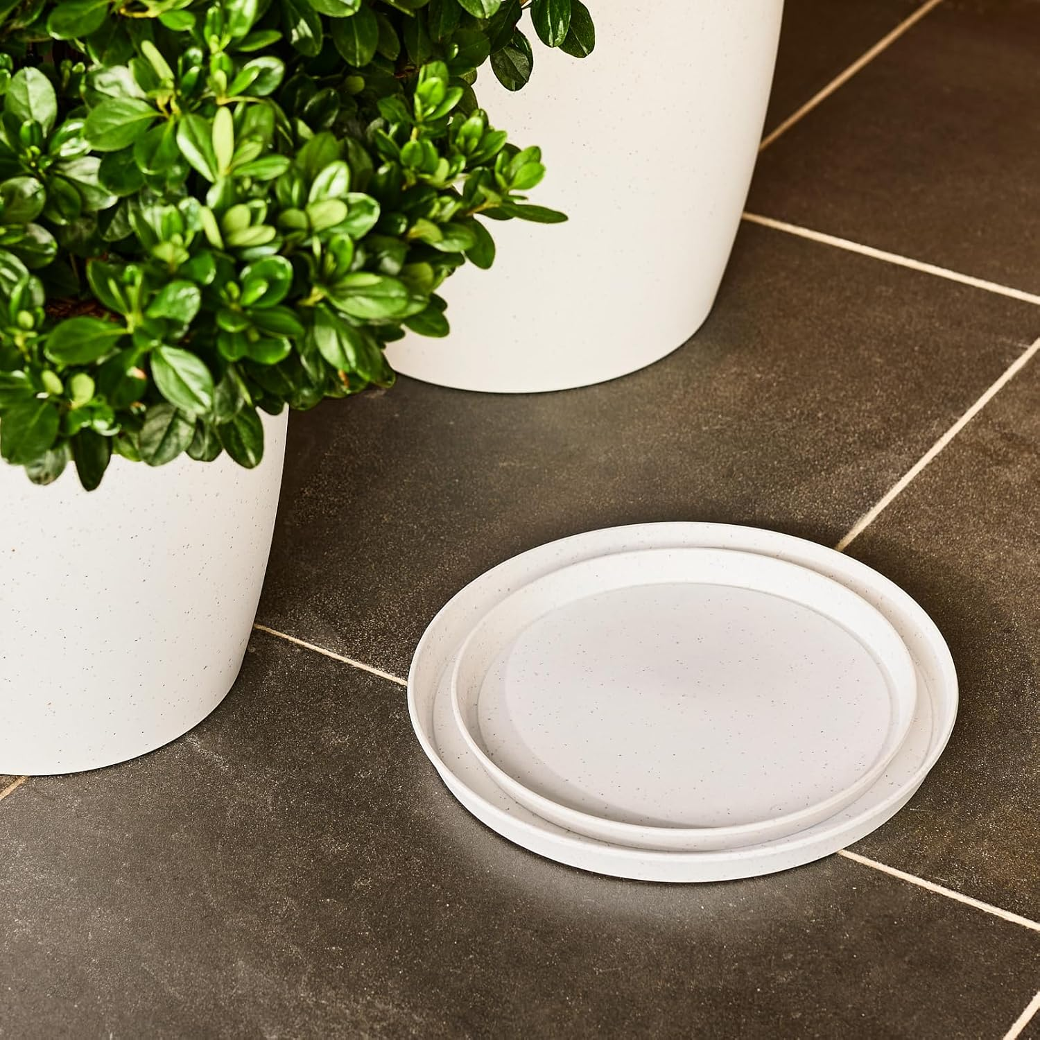 San Remo Saucer White Terrazzo 24Cm