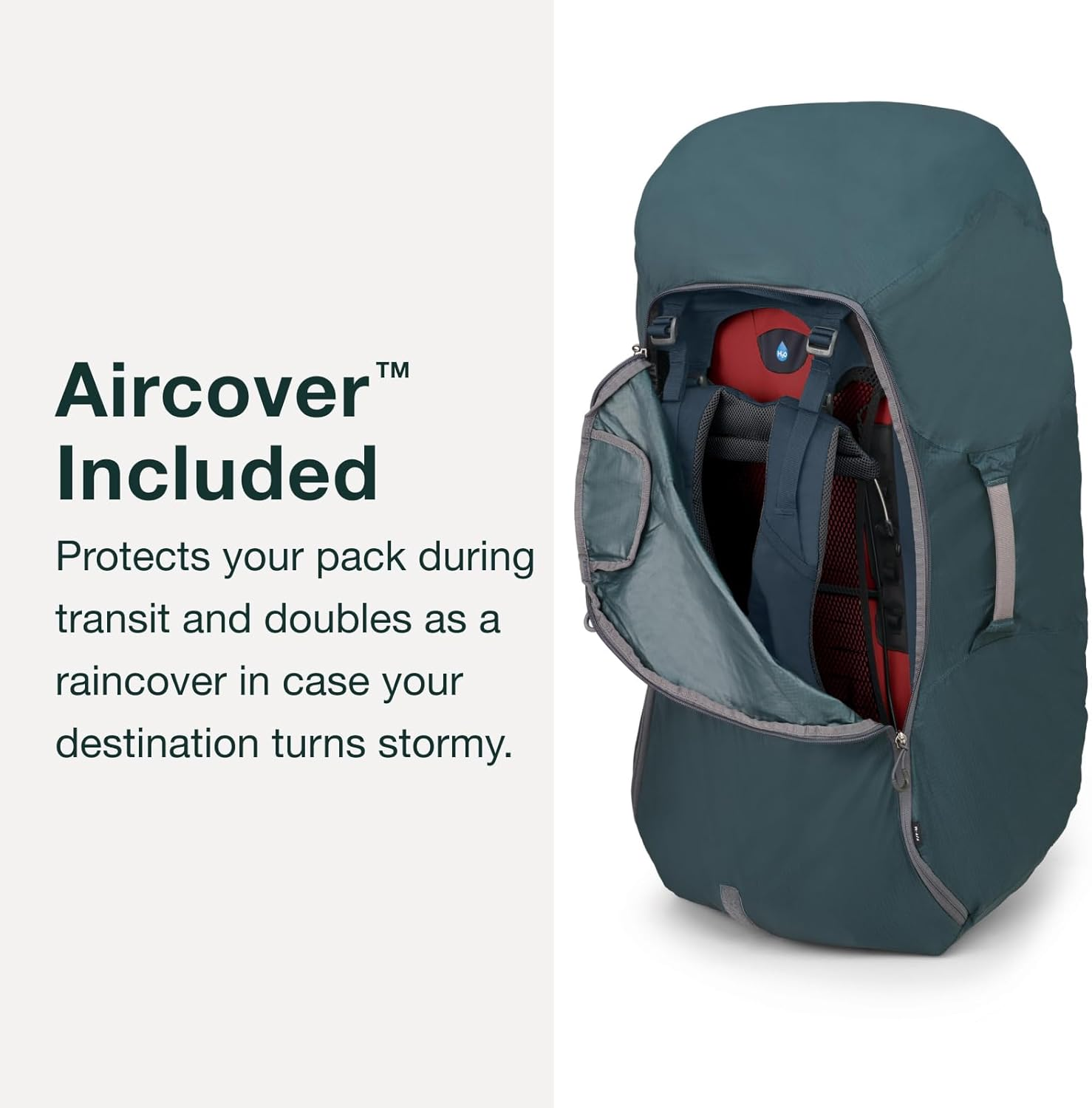 Osprey Osprey image number 7