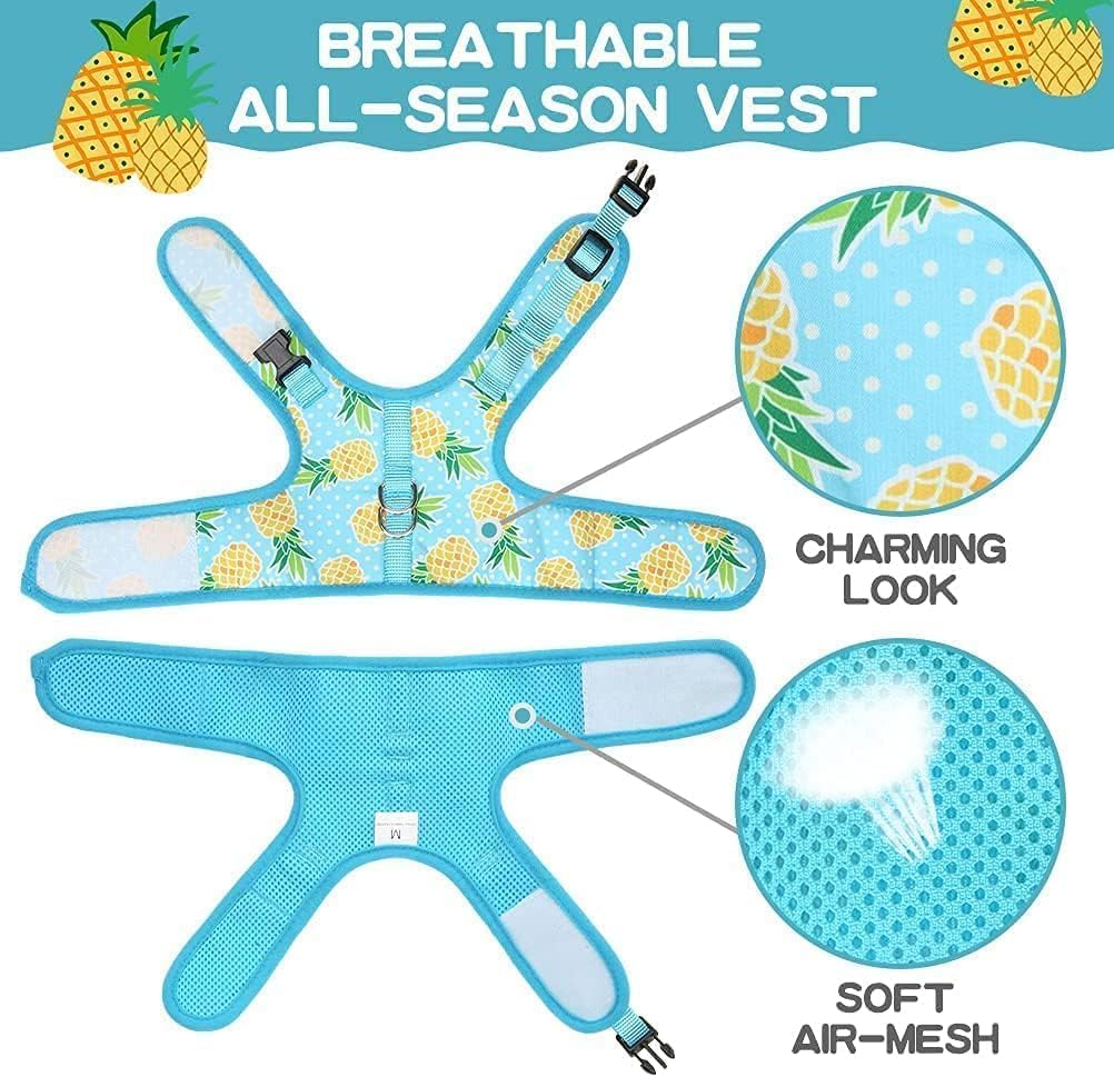 BINGPET Cat Harness - Mesh Cat Dog Walking Harness with Leash - Adjustable Cat Vest Harness for Kittens and Puppies - Pineapple image number 3