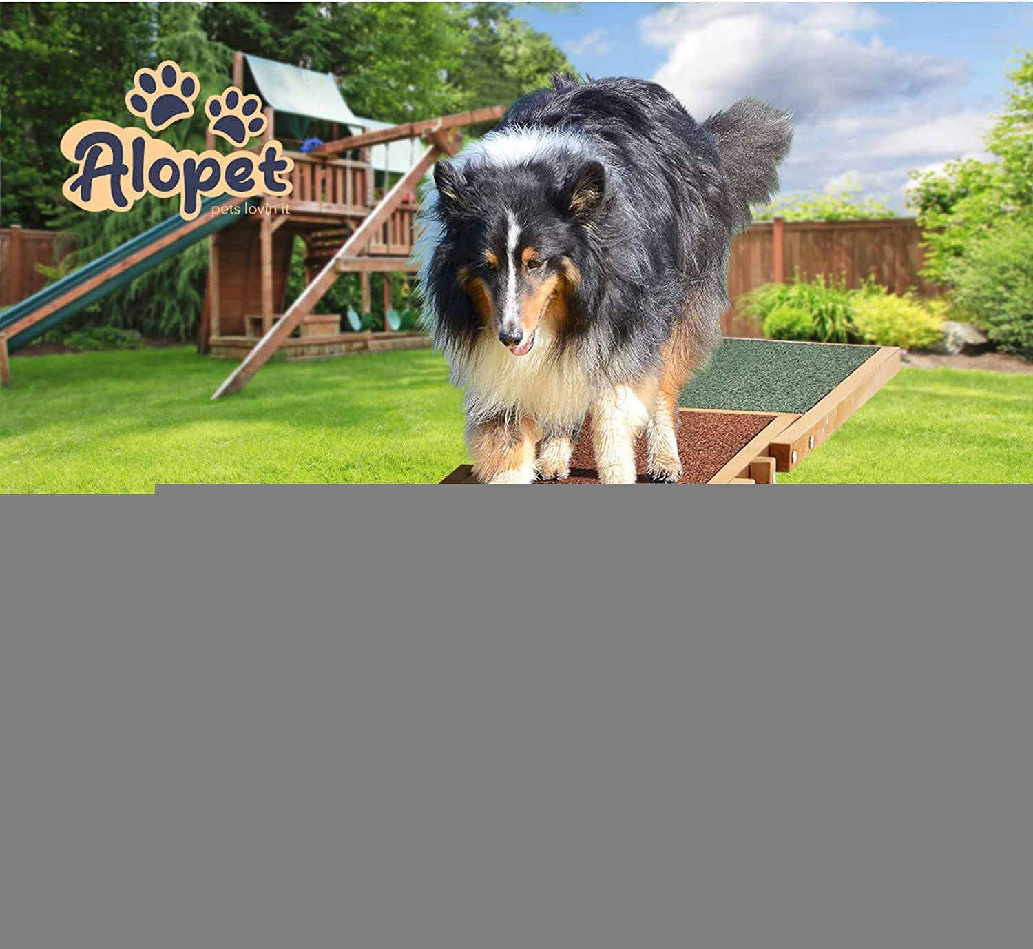 Dog Seesaw Pet Agility Training 180Cm Plank 70Kg Capacity image number 3