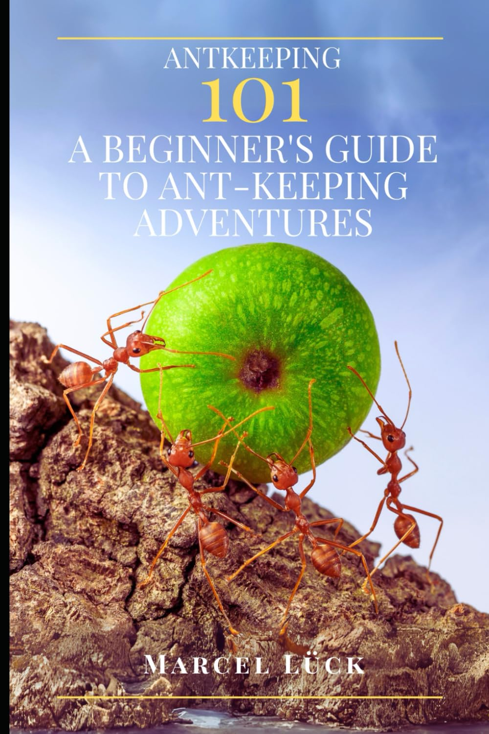 Antkeeping 101:: a Beginner'S Guide to Ant-Keeping Adventures image number 1