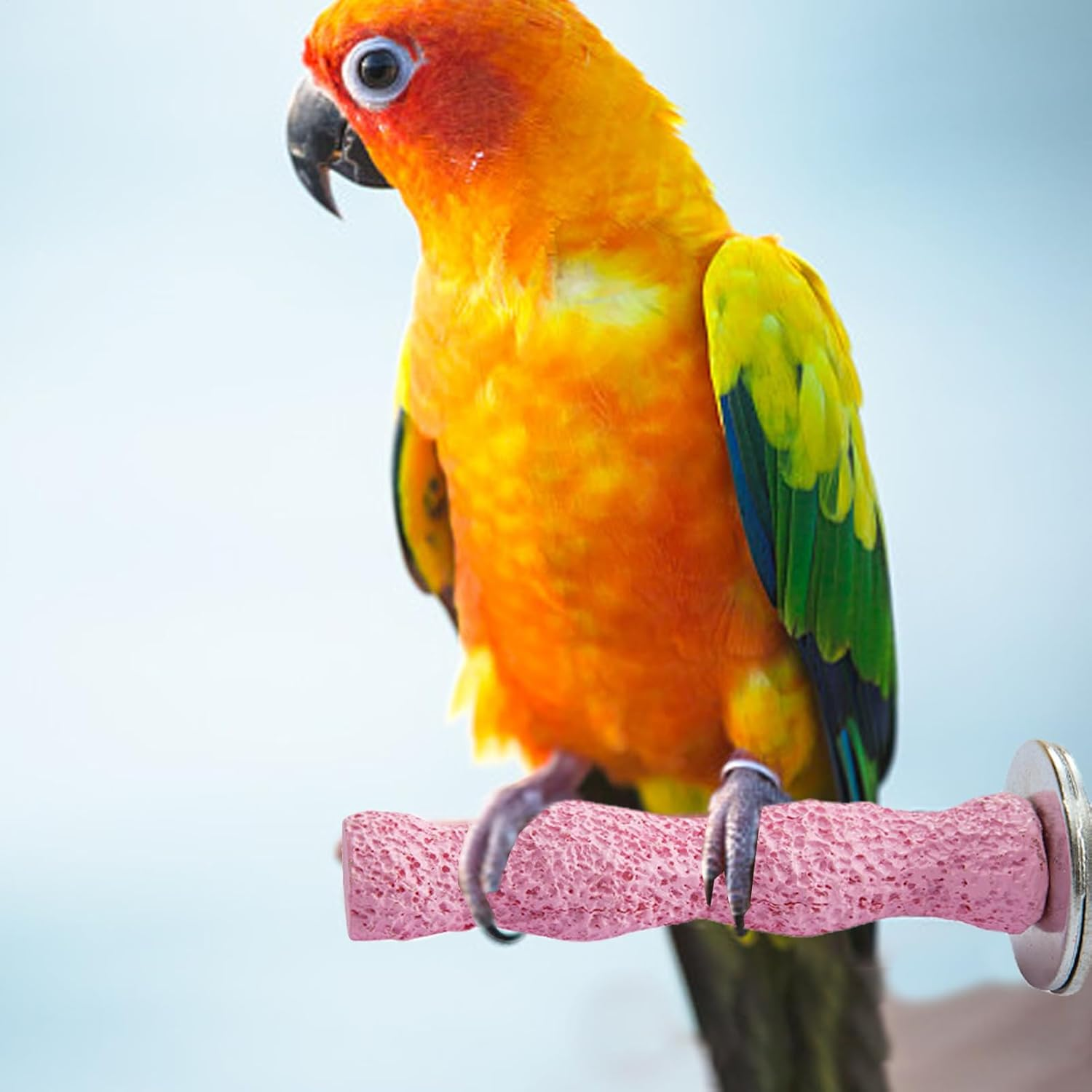 Parrot Stick Stand - Natural Mineral Grinding Stop, Bird Calcium Mouse Stone, Chew Toy for Beak Exercise | Occano, Cockatiel, Conures, Lorikeets, Parakeets, Cage Mount Pet Play Accessories image number 5