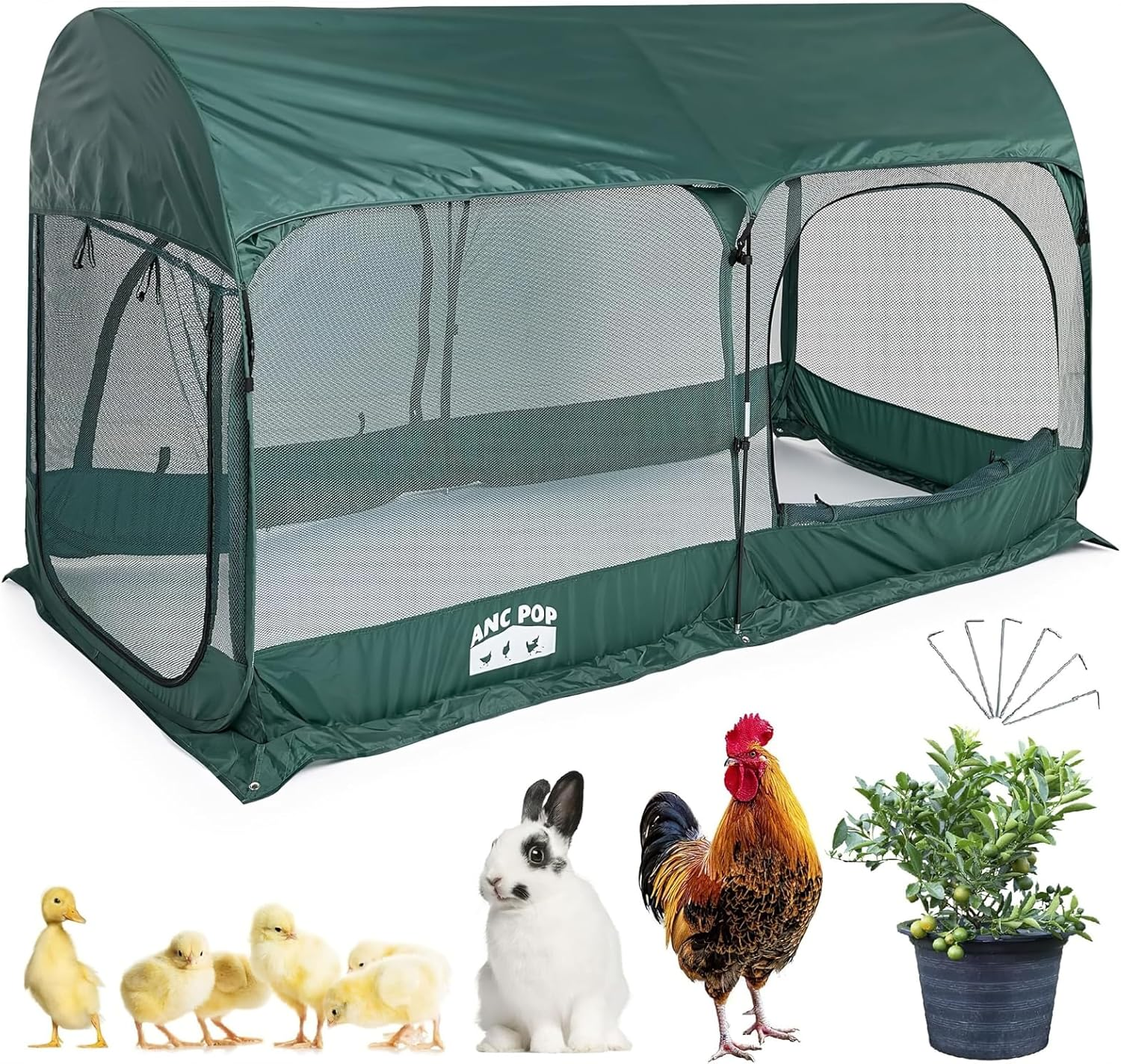 Maze Pop up Chicken Run image number 6