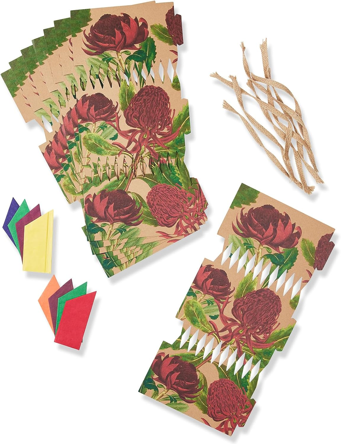 DIY - Eco Waratah, Pack of 8 | Bonbon Crackers