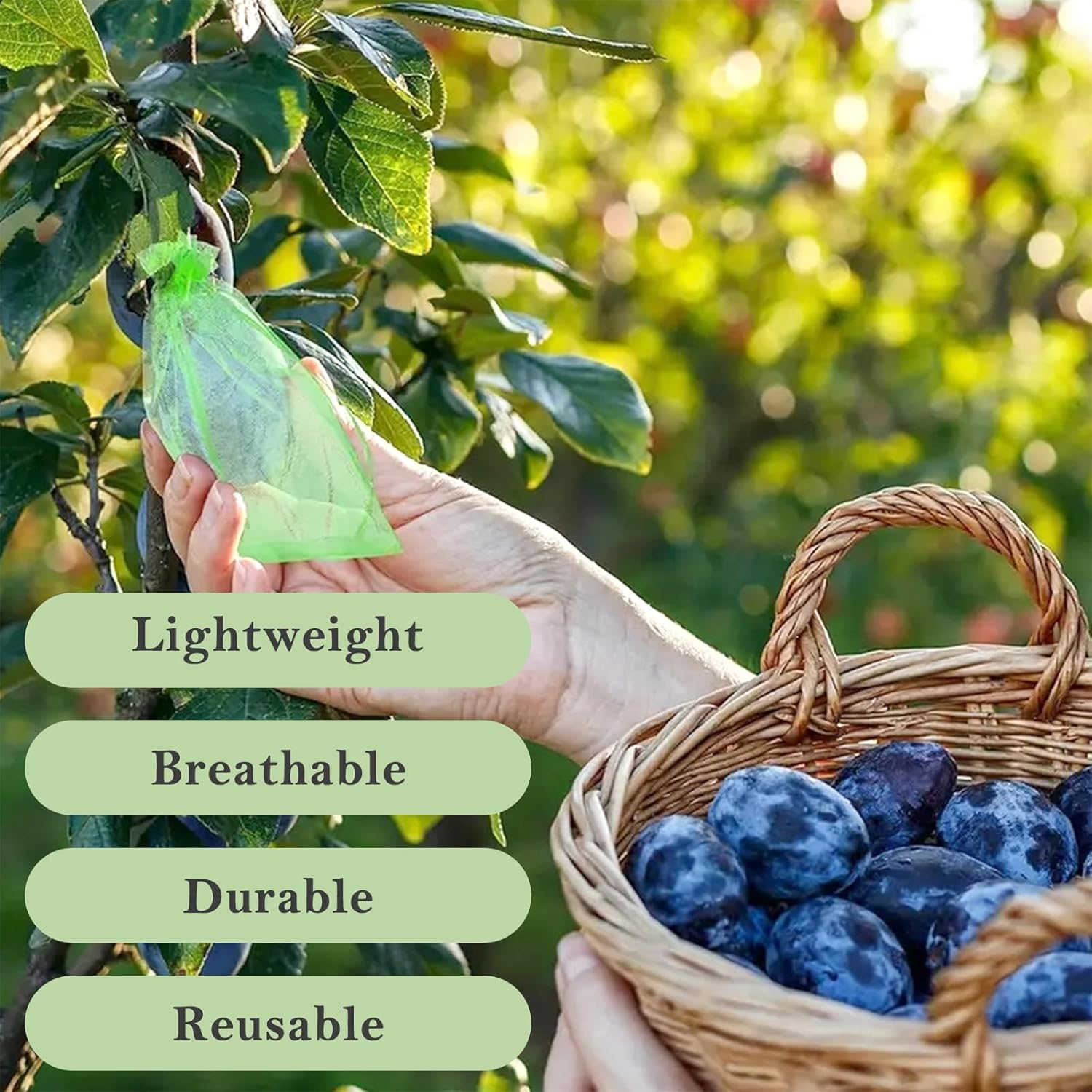 150Pcs Fruit Protection Bags, Green Fruit Netting Bags with Drawstring, Garden Fruit Cover Mesh Bag for Plant Fruit Flower and Vegetables (8 * 12 Inch) image number 5