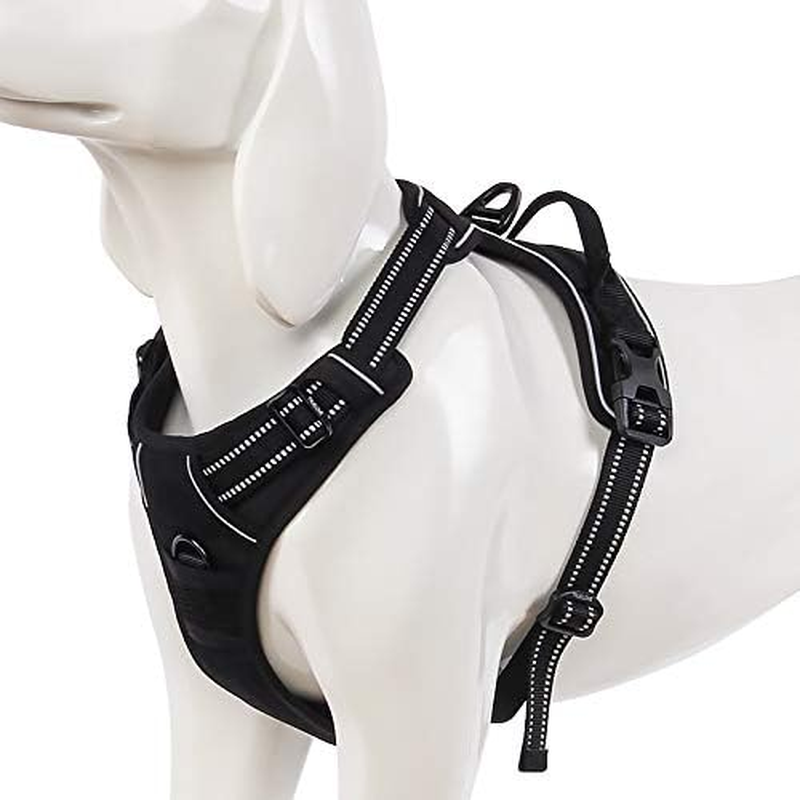 WINHYEPET Truelove Dog Harness No-Pull Reflective Adjustable Pet Harness with 2 Lead Clips, Easy Control Handle for Small, Medium and Large Dogs, TLH5651 image number 4