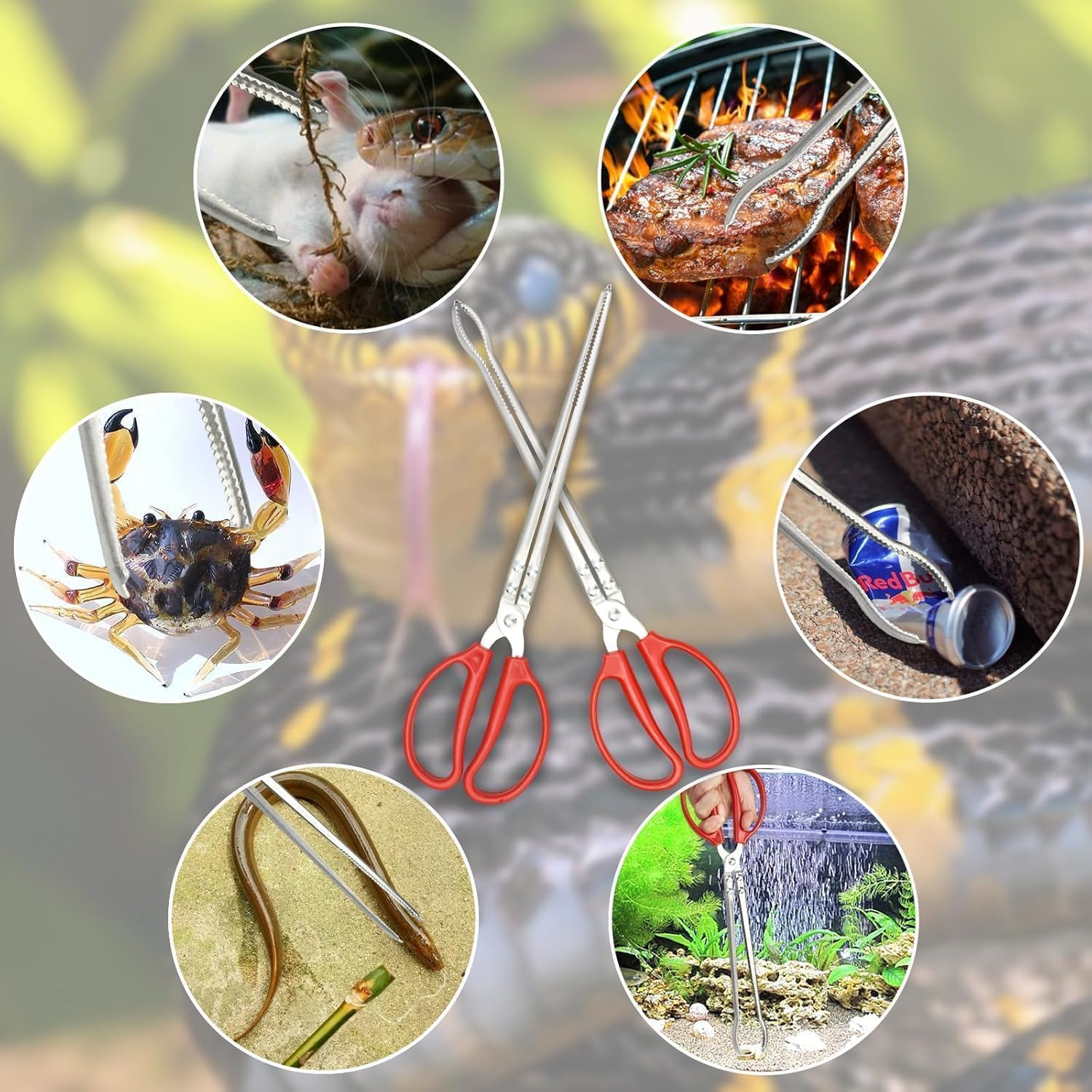 Anti-Skid Snake Feeding Tong Reptile Feeding Tong, 2Pcs Anti-Skid Stainless Steel Reptile Feeding Tong,Anti-Skid Stainless Steel Snake Feeding Tong,Anti-Skid Stainless Steel Snake Reptile Feeding Tong image number 5