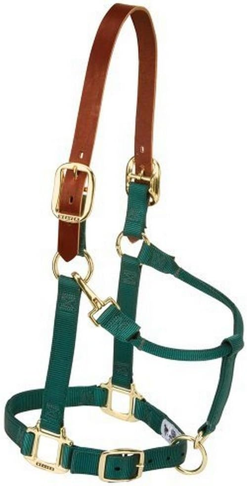 Weaver Leather Breakaway Original Adjustable Chin and Throat Snap Halter, Average Horse Size, Hunter Green