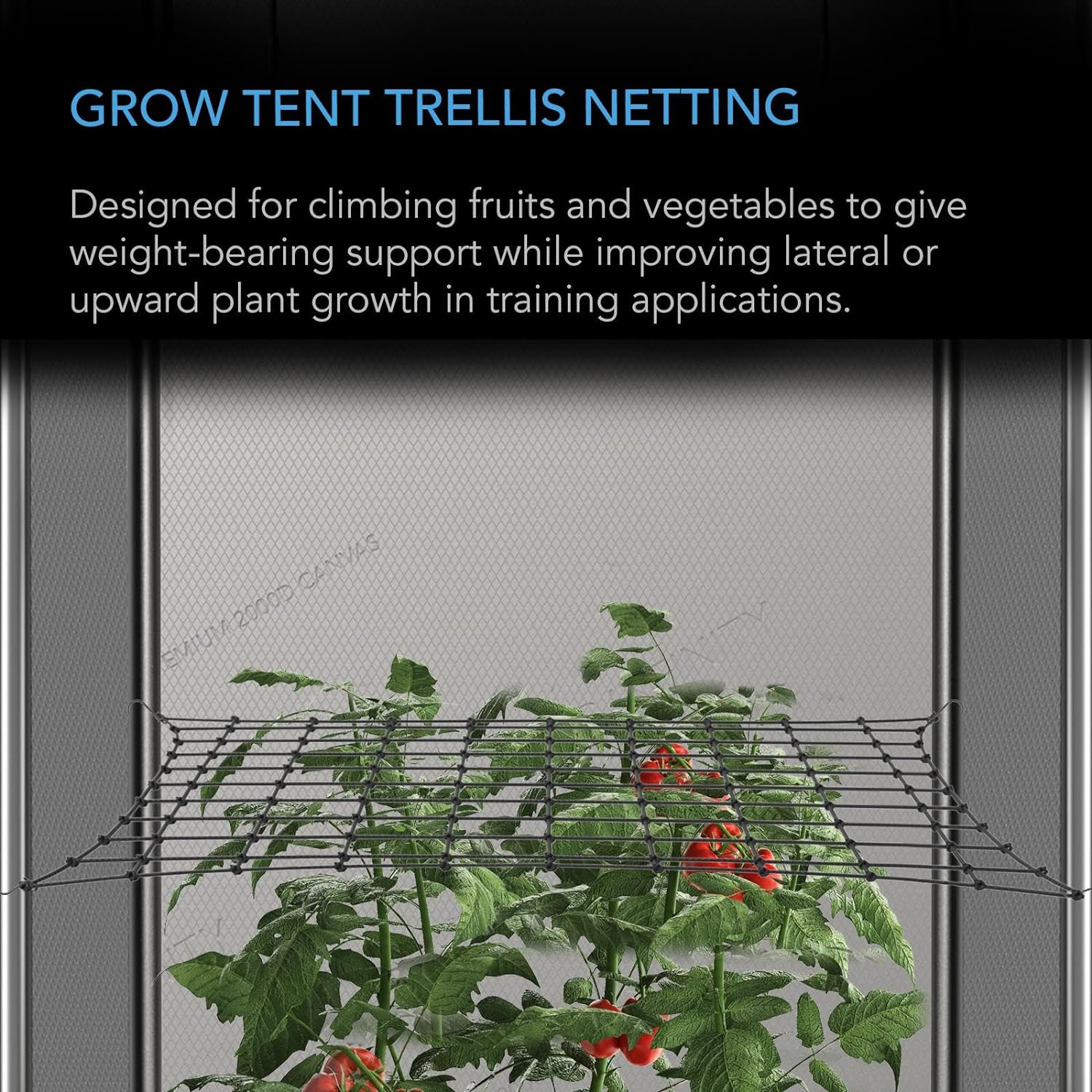 AC Infinity Grow Tent Trellis Netting 2X4', Heavy-Duty Elastic Plant Net with Steel Hooks, Flexible Hydroponics Support for Grow Tents, Gardening, and Horticulture image number 5