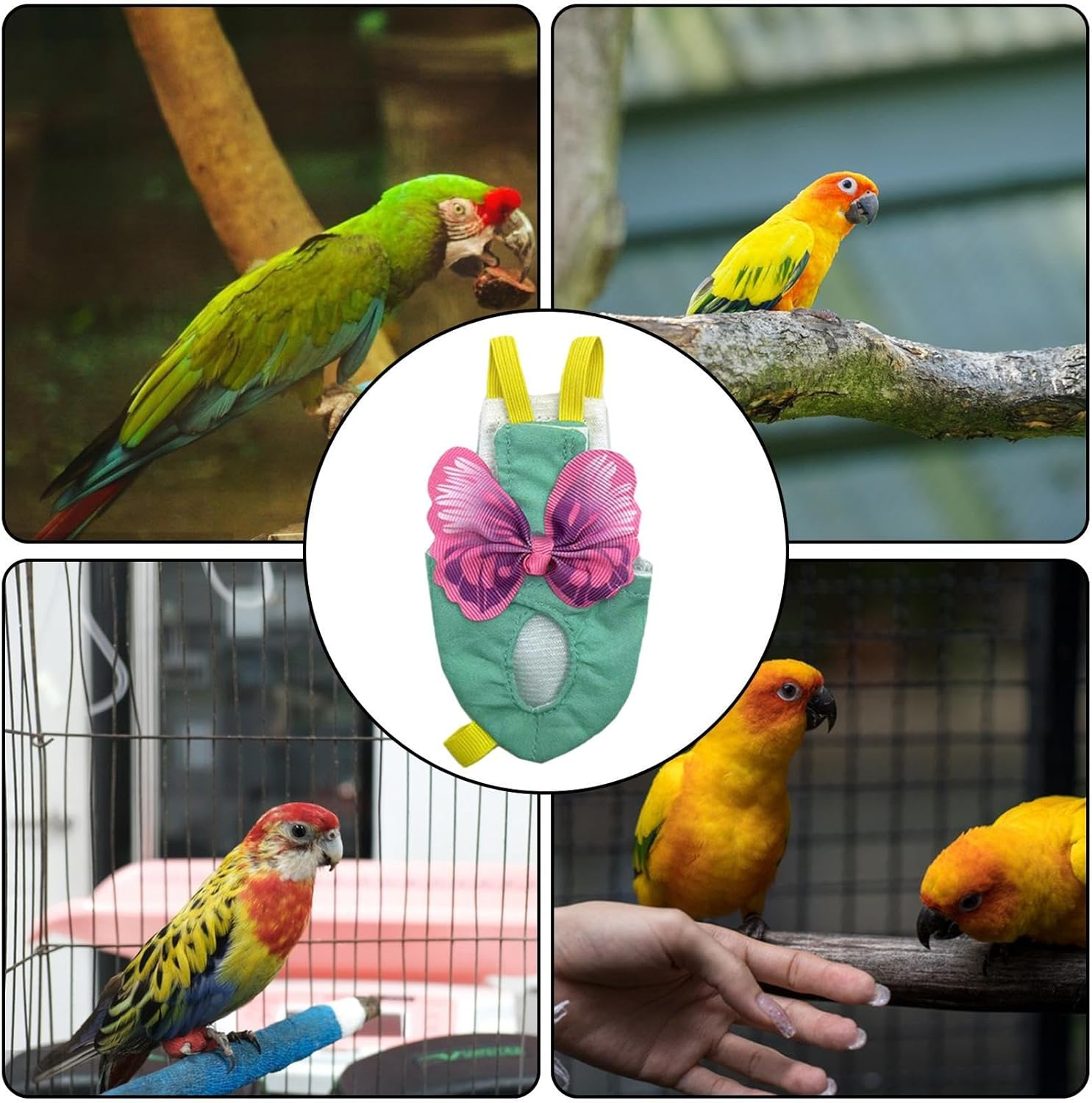 Bird Harness | Soft Bird Diapers Suite | Pigeon Pants for Small Medium Birds Parakeets Parrot Cockatiel, Bird Diapers for Parrots, Bird Clothes Pochy