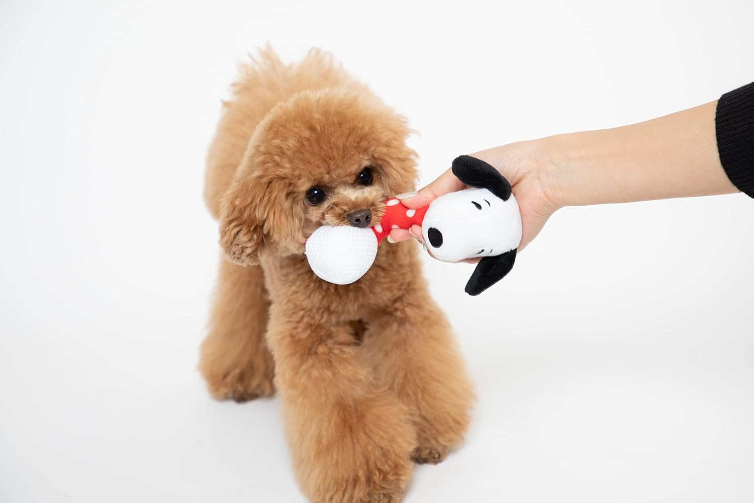 PEANUTS Sound Toy Snoopy Carakara Toy for Dogs image number 3