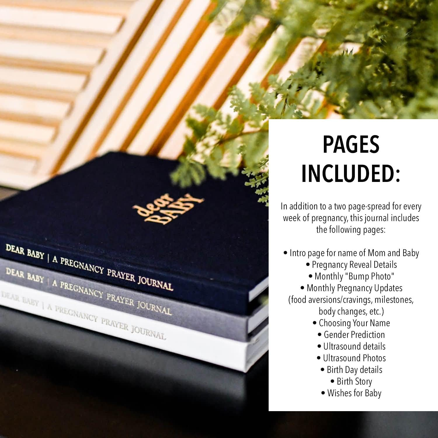 Dear Baby: a Pregnancy Prayer Journal and Memory Book for Expecting Moms