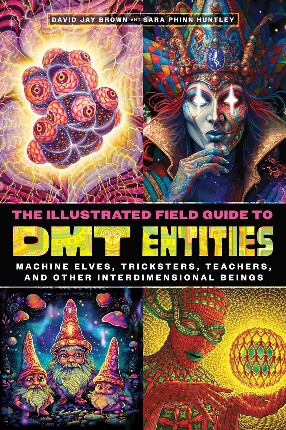 The Illustrated Field Guide to DMT Entities: Machine Elves, Tricksters, Teachers, and Other Interdimensional Beings image number 2