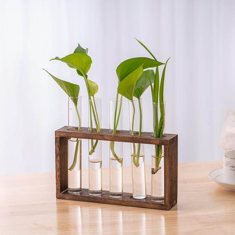 Desktop Plant Propagation Stations, Clear Cylinder Glass Foldable Vase Test Tube with Wooden Stand,Propagation Station,Gifts for Plant Lovers,5 Vases