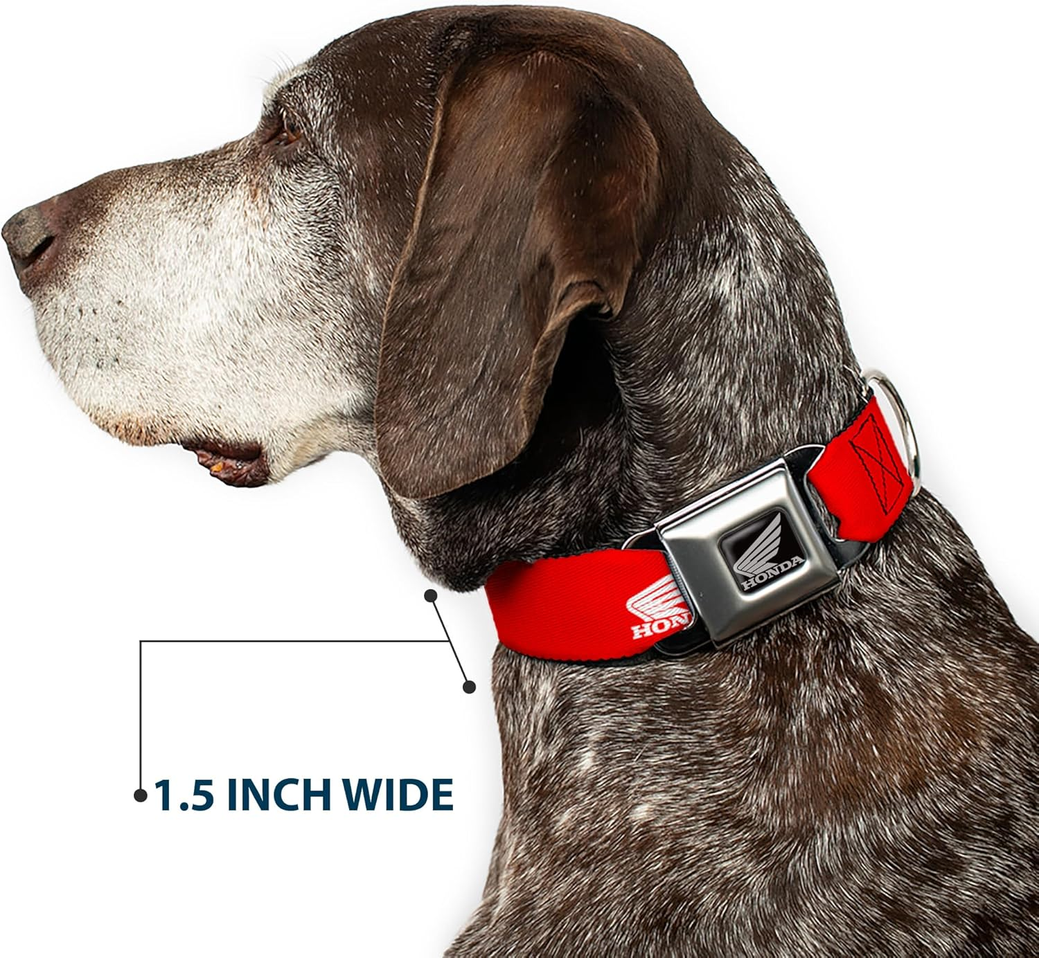 Dog Collar Seatbelt Buckle Honda Motorcycle Logo Red White 16 to 23 Inches 1.5 Inch Wide image number 6