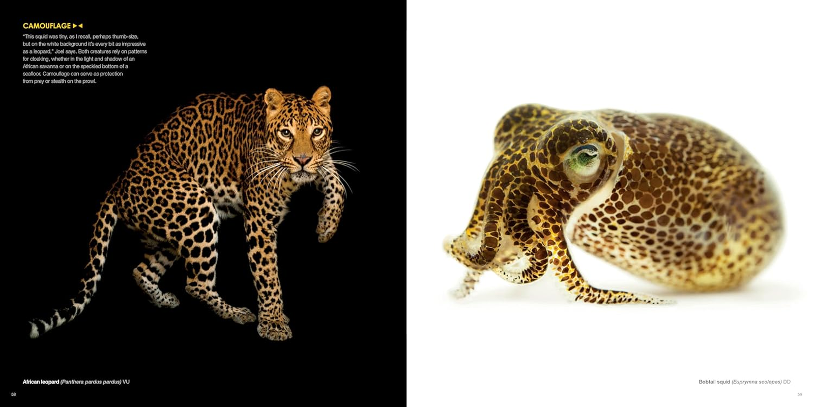 National Geographic the Photo Ark: One Man'S Quest to Document the World'S Animals image number 1