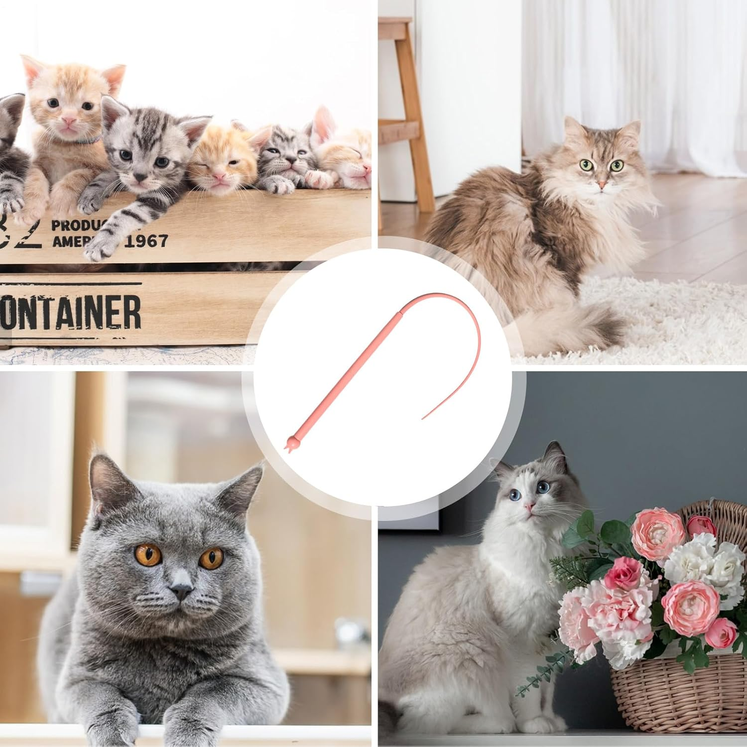 Cat Teaser, Bite-Proof Silicone Cat Wire Toy, 30 Inch Teaser Tail Shape Jumping Cage Indoor Playing Hunting Simulation Home Pet Mental Enrichment Exploring for Feline Fun image number 3