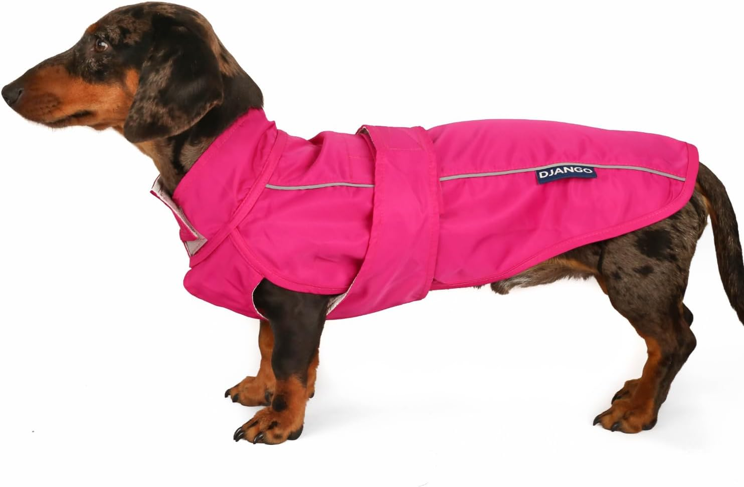 DJANGO City Slicker All-Weather Dog Jacket & Water-Repellent Raincoat with Reflective Piping (Small, Kombu Green)