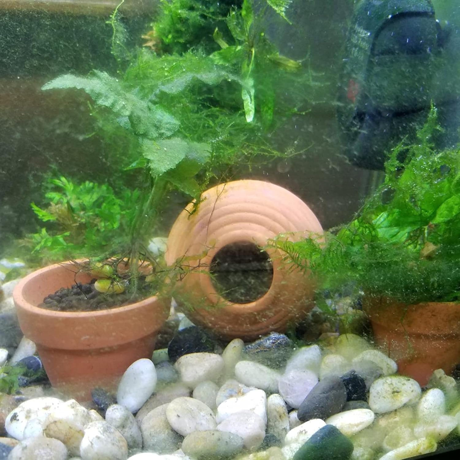 Saim Ceramic Jar Aquarium Decorations Fish Tank Cave Breeding Cones Cave Fish Tank Ornaments for Betta Fish Amano Shrimp Cichlid Bonsai to Play Hide and Rest Yellow image number 6