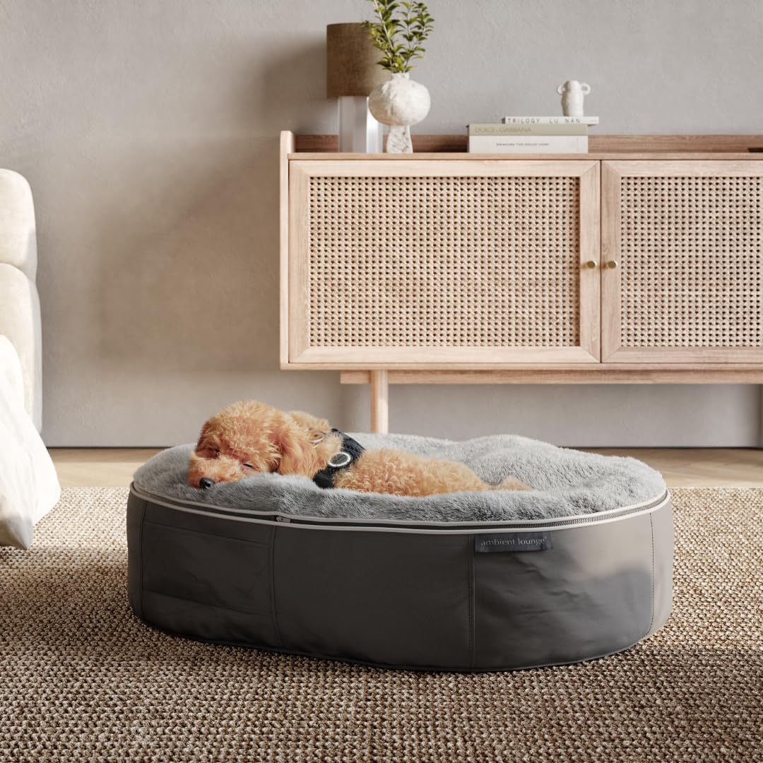 [Ambient Lounge Japan] Pet Lounge, Washable, Dog, Cat, Bed, High Quality, Memory Foam, Made in Japan, Premium - Wolf Gray, M Size image number 2