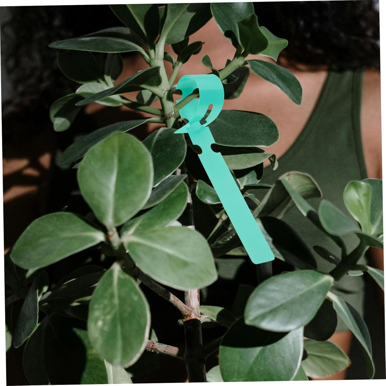 Happyyami 100Pcs Large Writing Surface Plant Labels for Garden Accessories Plastic Plant Tree Tags image number 4