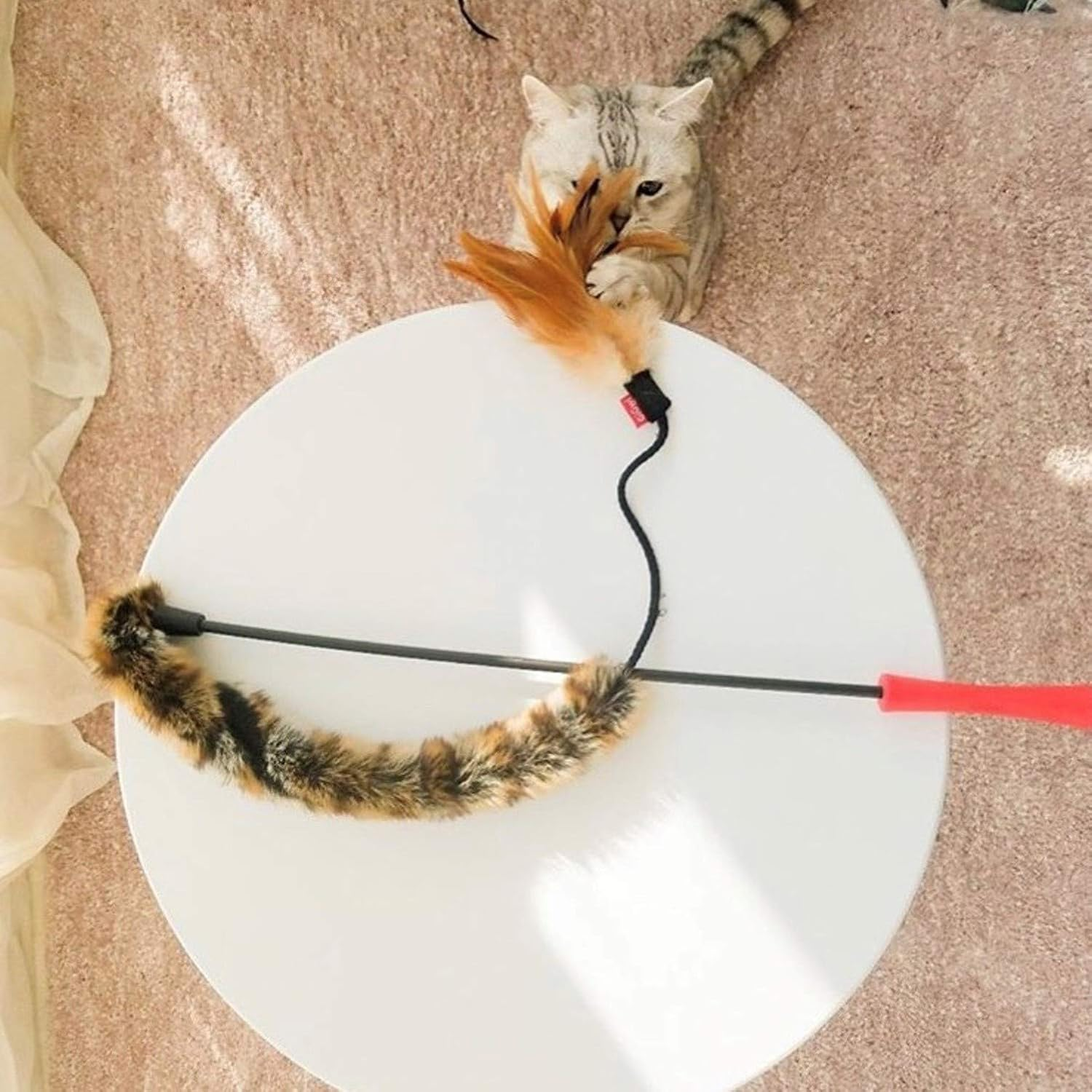 Gigwi Feather Teaser image number 5