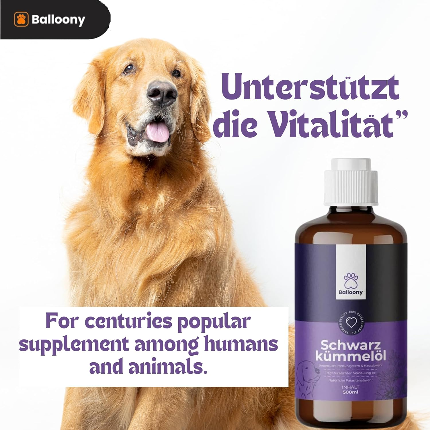 Black Cumin Oil for Dogs - Natural Support for a Vital Dog Life image number 2