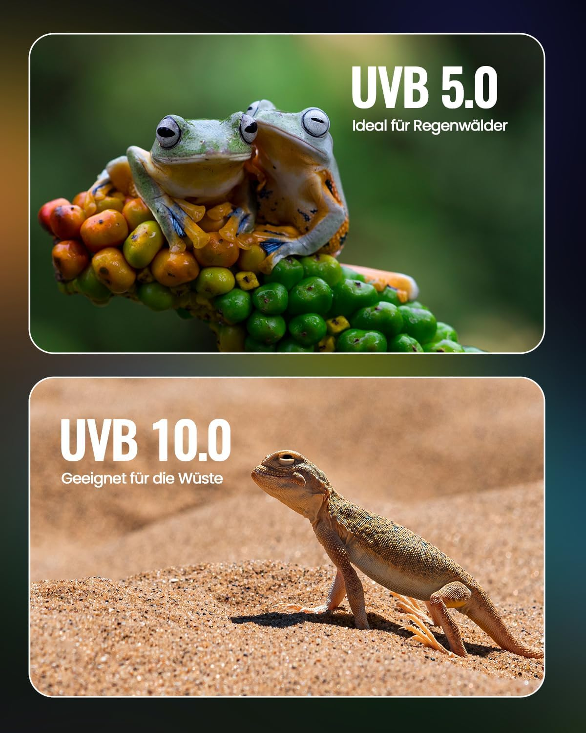 Doright 5.0 13 W UVB Lamp, E27 Reptile Compact UVA UVB Lamp Terrarium, AC 220-240 V Animals Fluorescent Lamp for Lizard Chameleon Leopard Gecko Vivarium Turtle Tank Pack of 1