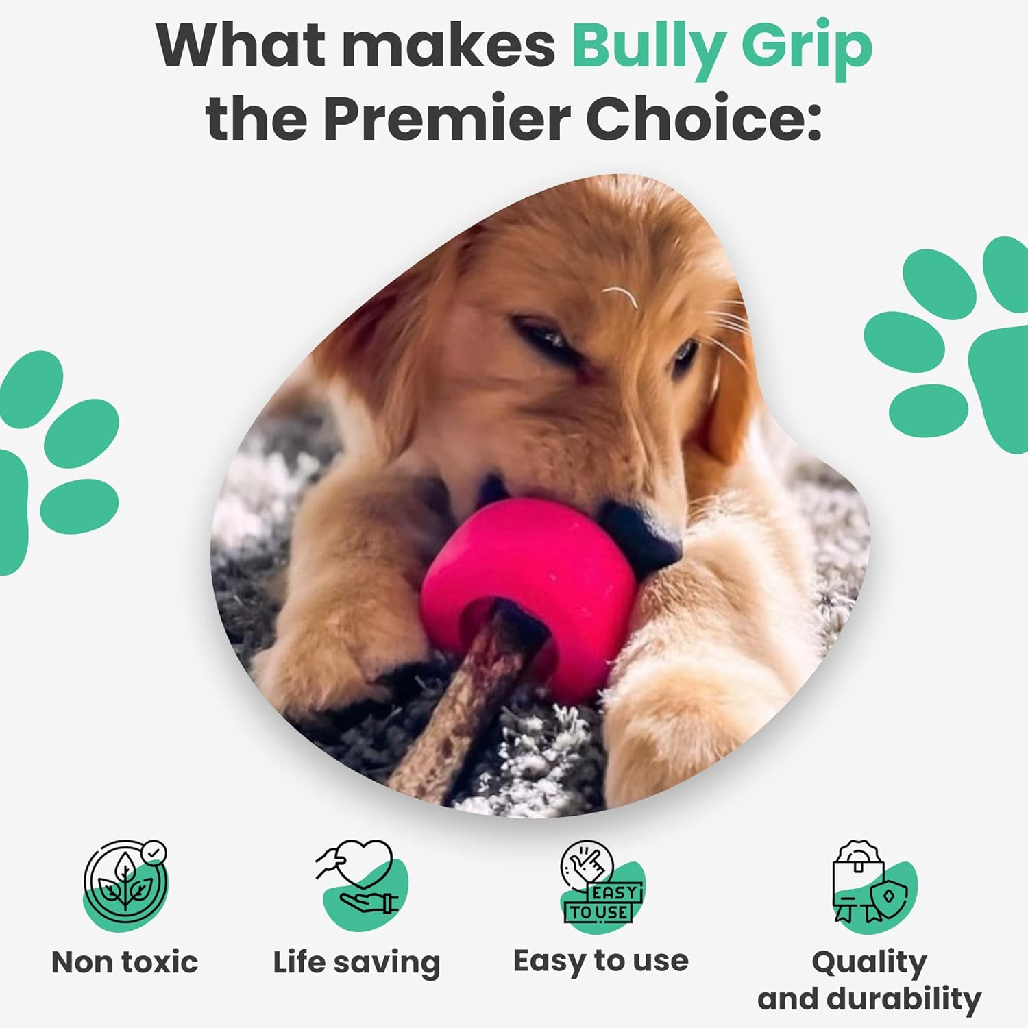 Bully Stick Holder - Size Small Interactive Dog Toy, Slow Feeder, Treat Dispenser, Chew Toy and Dog Safety Device image number 6