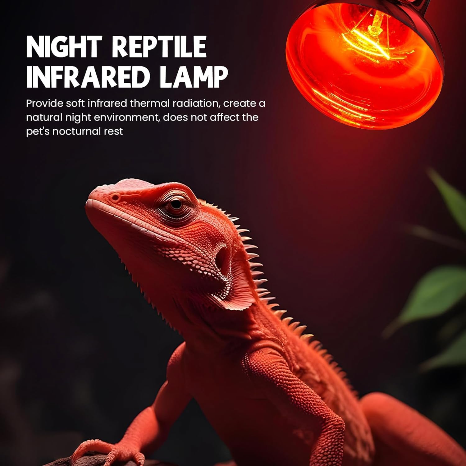 Glowup 100 W Heat Lamp Turtles E27 R80 Daylight Sun Spotlight and Infrared Heater 220 V Reptile Lamp Terrarium Heat Lamp UV Lamp Tortoise for Lizards, Turtles, Chicks image number 4