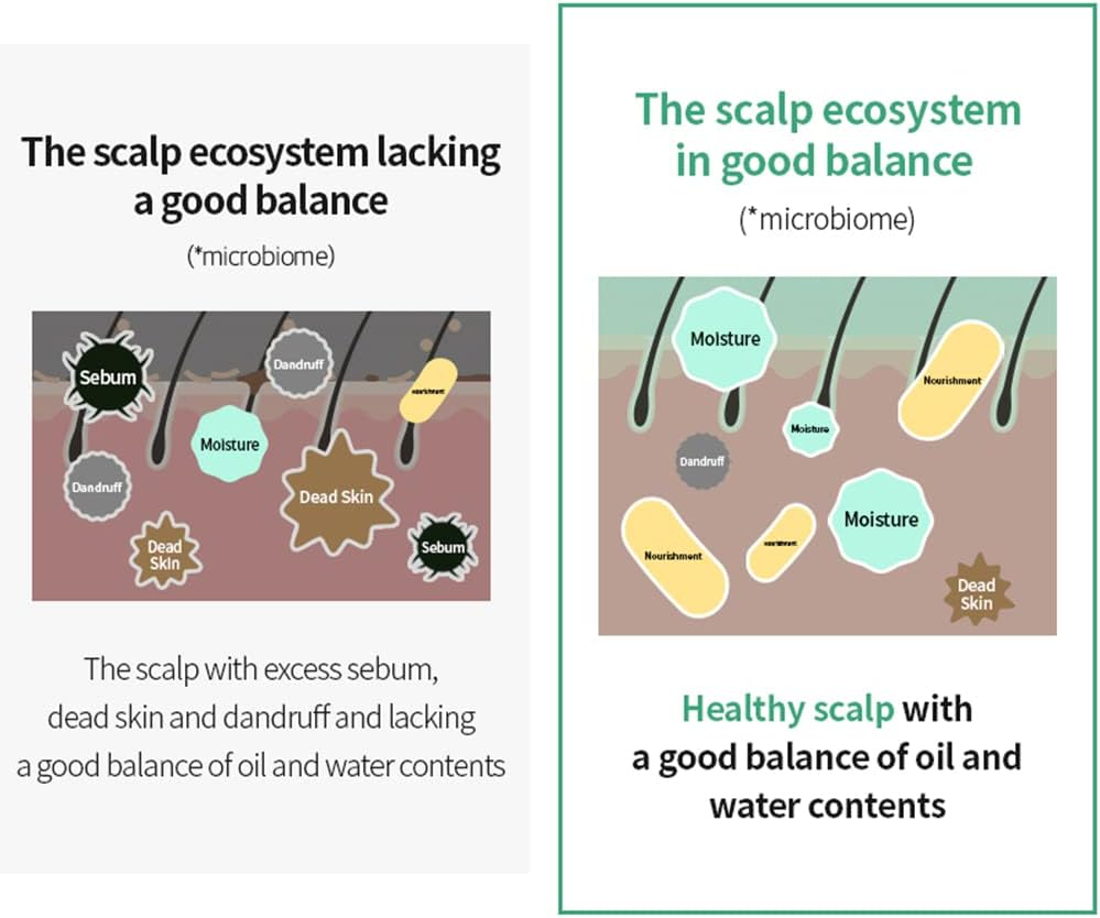 MASIL - 5 Probiotics Scalp Scaling Shampoo Stick Pouch 8Ml X 20 Pcs image number 2