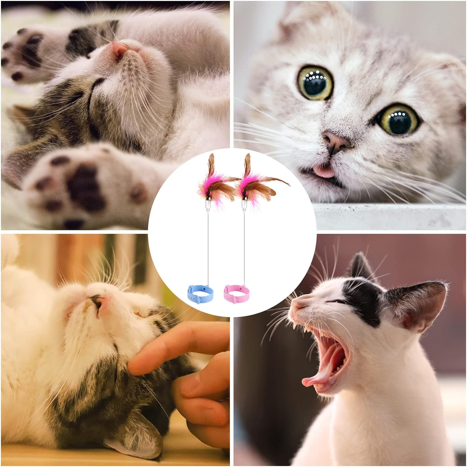 Cat Teaser Toy, Cat Wand Toy Retractable Cat Feather Toys with Silicone Collar Interactive Cat Toys for Indoor Cat Kitten Exercise (Blue, Pink) image number 5