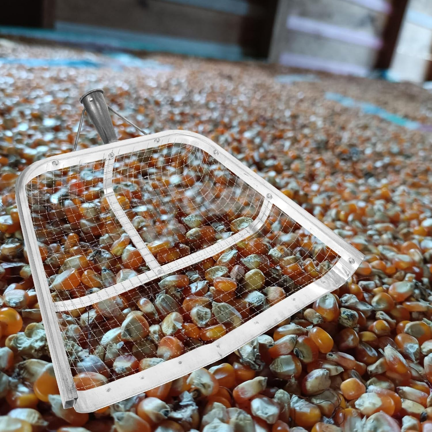 POPETPOP Harvest Sieve Maize Grain Shovel,Metal Corn Scoop Drain Spade Shovel Sifting Garden Outdoor Maize Spade Forks Garden Digging Supply image number 4