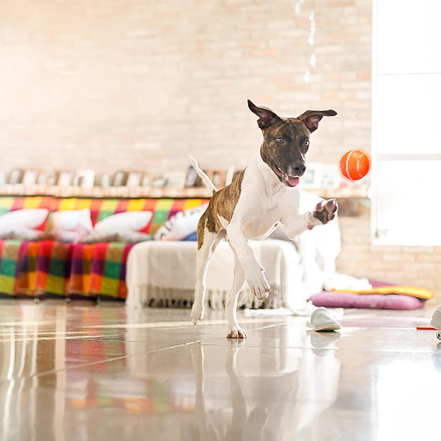 Belobill Interactive Dog Ball Toys, Wicked Ball, Durable Motion Activated Automatic Rolling Ball Toys, Jumping Activation Ball for Puppy/Small/Medium Dogs, USB Rechargeable image number 3