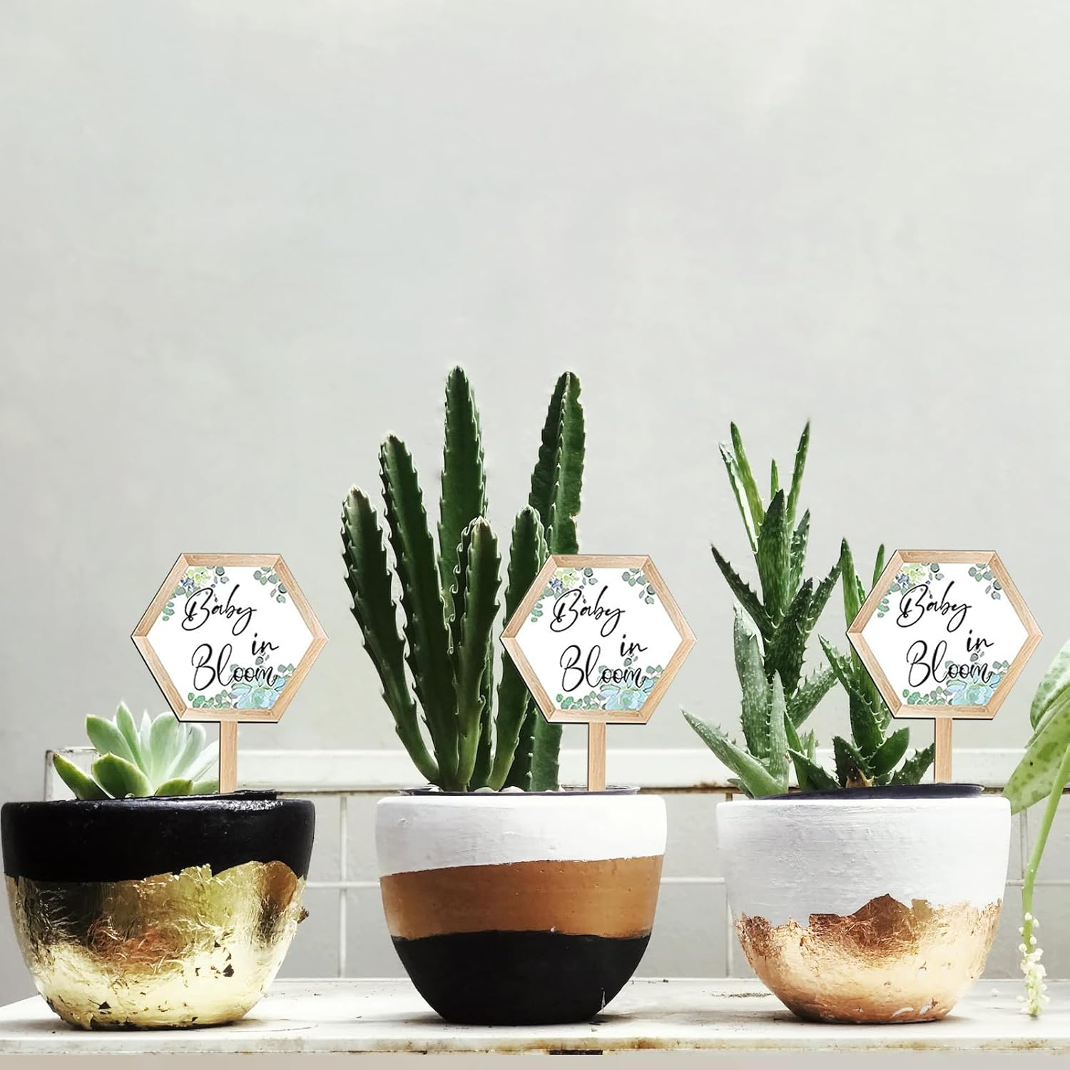 Baby in Bloom Succulent Tags, Wooden Plant Stakes Label Hexagon Plant Markers Plant Signs Succulents Labels for Baby Shower Succulents Potted Plants(48 Pcs)