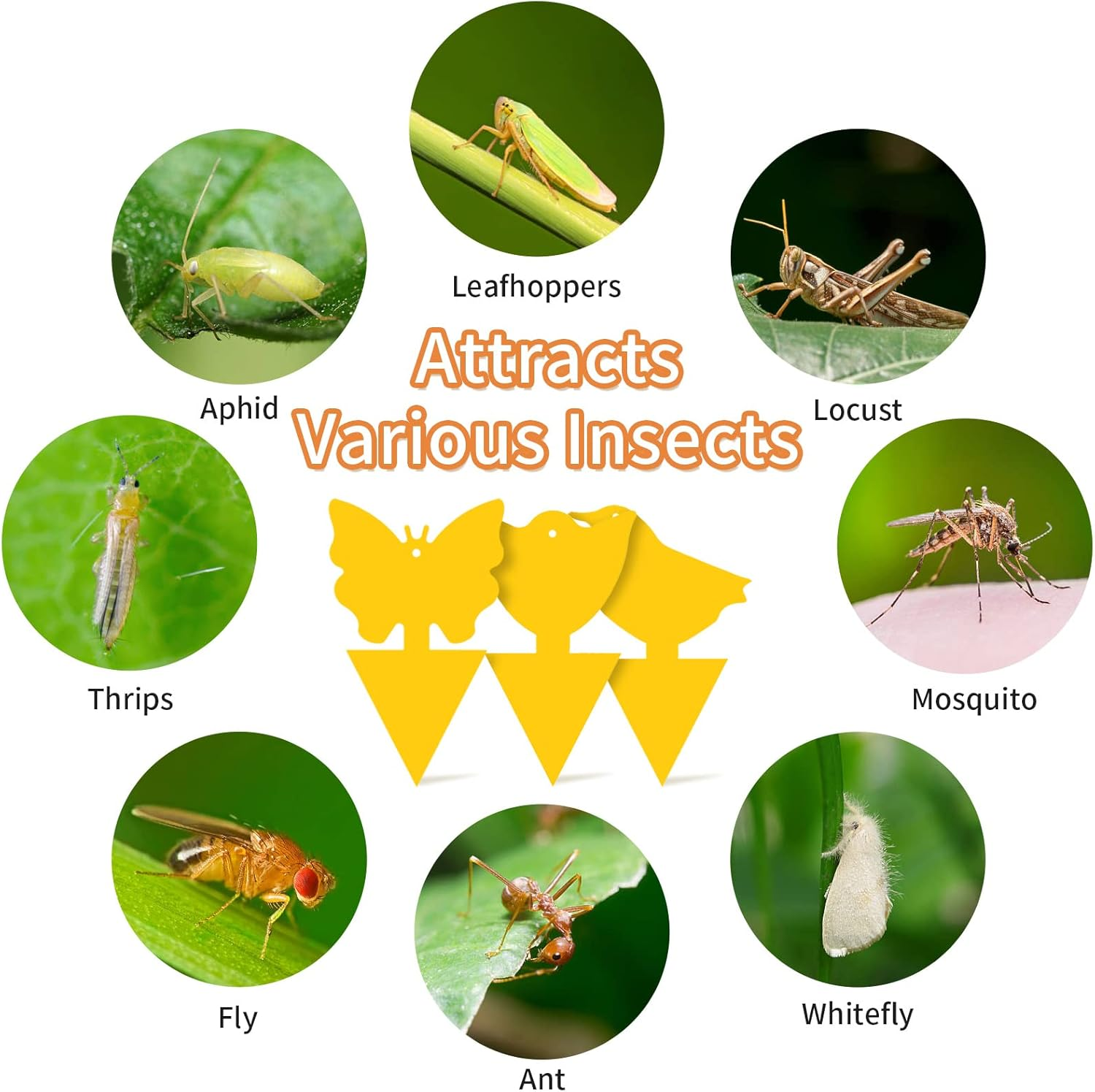 Gnat Trap Sticky Traps Dual Sided Yellow with Cable Ties Sticky Fly Trap for Mosquitos Fungus Gnats Flying Insects Ect Indoor and Outdoor Protect the Plant Non Toxic and Odorless 30Pcs Gnat Trap