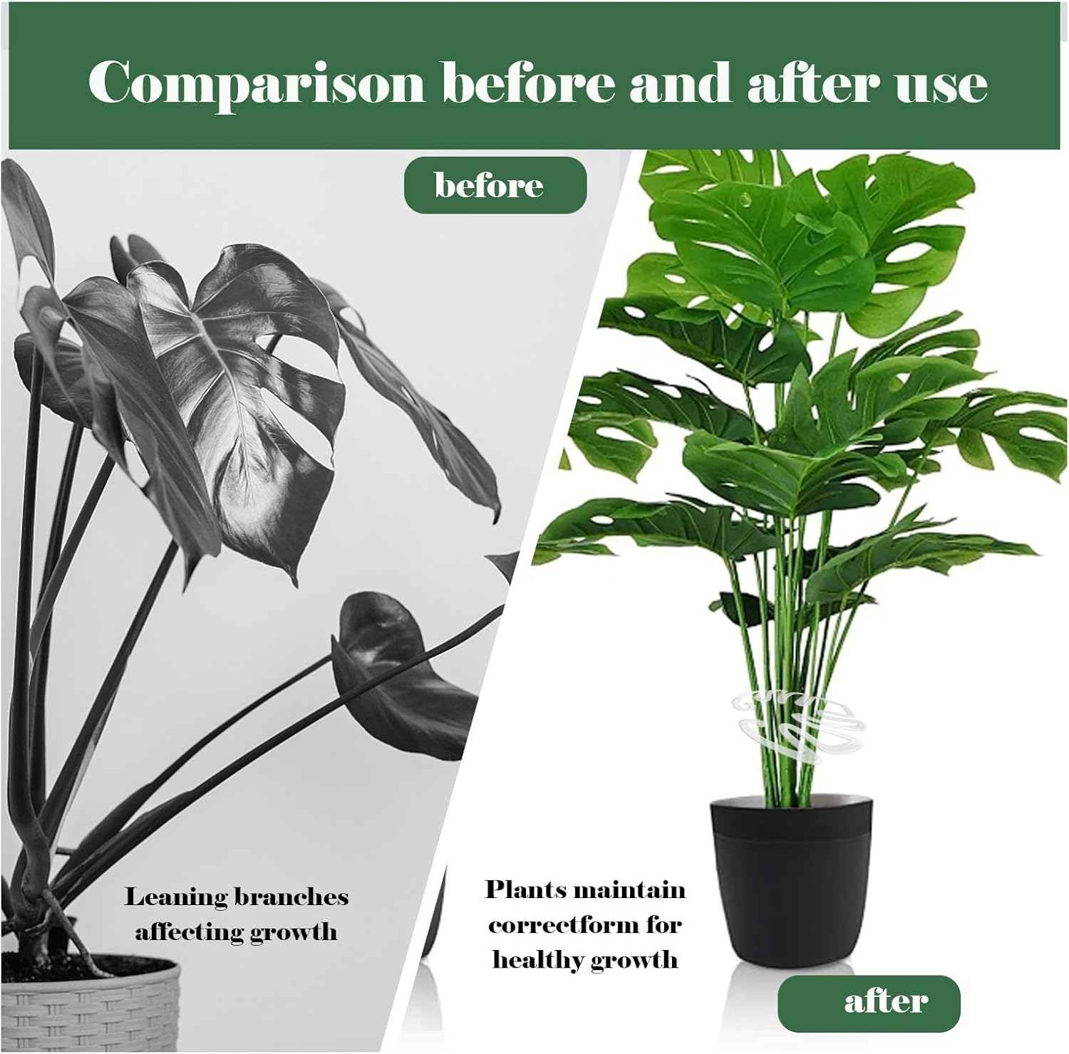 4 Pcs Monstera Plant Support, Wear Resistant Plant Stakes, Plant Stem Support, Unique and Aesthetic Turtle Shell Bamboo Clamp Set Suitable for Flowers, Herbs, Keeps Tame and Growing Vertical image number 2