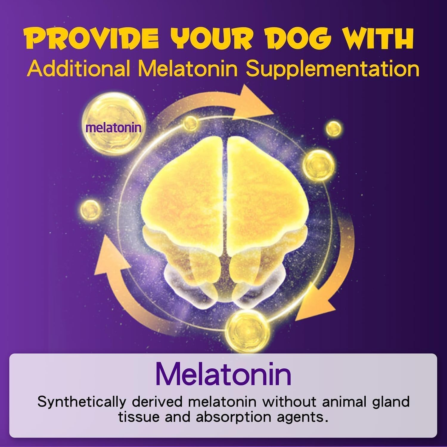 Melatonin for Dogs & Cats, Promote Relaxation & Deep Sleep, Relief Anxiety & Stress, Helps with Separation Anxiety & Travel Stress, Sleep Aid for Small to Large Dog Breeds, (60 Ml) image number 6
