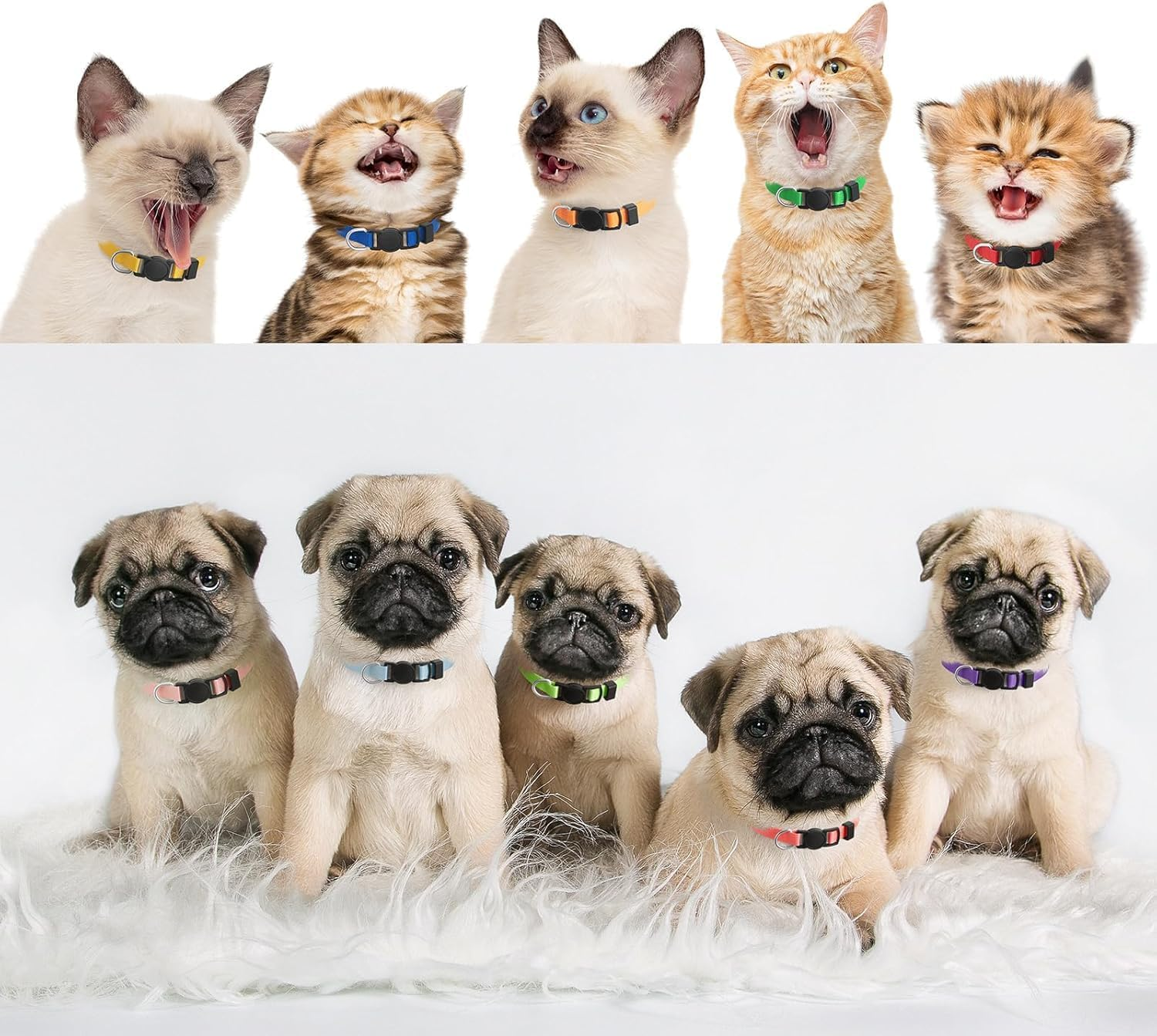 16 PCS Puppy Collars, Safety Buckle Puppy Collars for Litter Nylon Adjustable Collars for Puppies, Breakaway Puppy ID Collars Whelping Collars Pet Supplies,Stuff,Accessories (Multi) image number 1