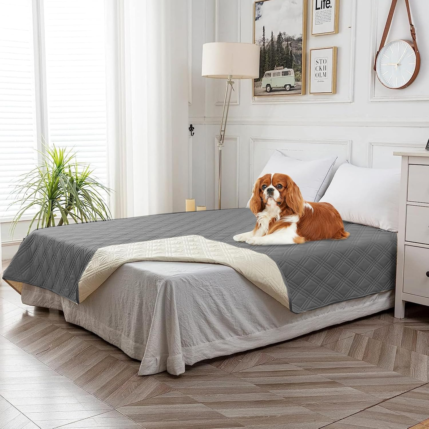 Waterproof Dog Blanket, Non-Slip Dog Blankets, Dog Mat for Large and Small Dogs, Machine Washable Pet Blanket Cover and Protection for Sofa, Bed, Car Seat (Dark Grey, 137 Cm X 208 Cm) image number 5