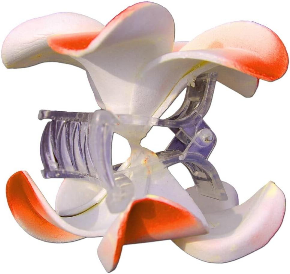 SEESTERN Bali Hawaii Hair Clip 2 Frangipani Flowers Made of Foam Rubber Hair Clip FBA_1301 Orange