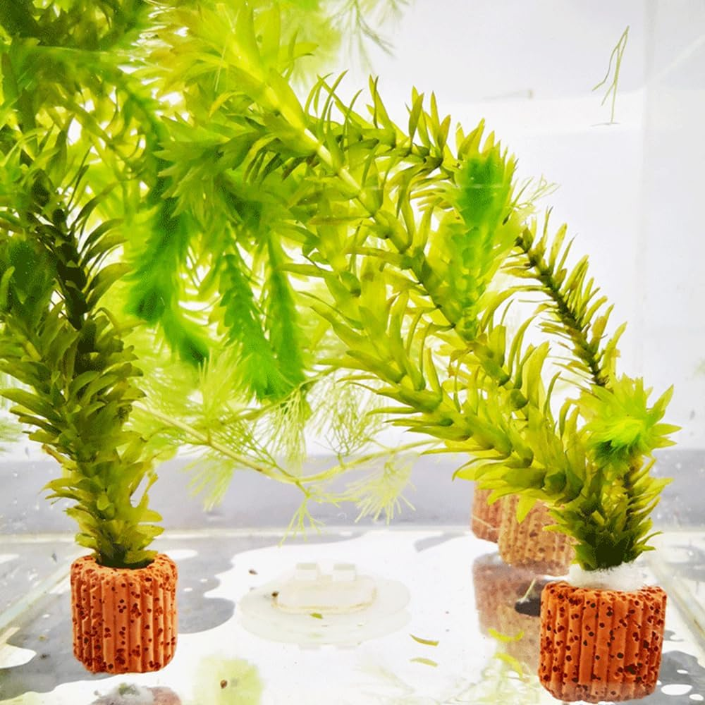 10 Pcs Aquatic Water Plant Fixed Rings, Water Plants Cultivation Fixed Ring Aquatic Water Plant Fixed Ring Ceramic Plant Pot, Landscape Ceramic Pottery Gravity Ring for Fish Tank Accessories