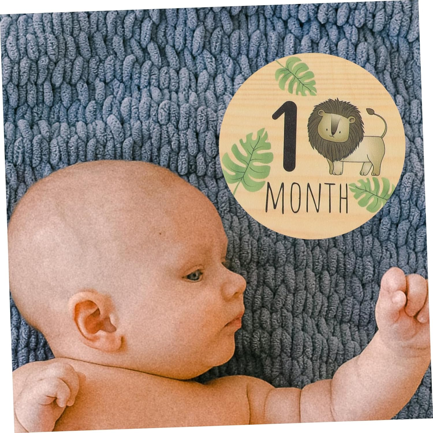 7Pcs Wooden Milestone Signs Double-Sided Cartoon Animal Monthly Cards for Newborn Announcements Photography Props and Shower Decor image number 4